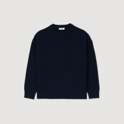 Pulls & Gilets*SANDRO Pull Côtelé En Maille Marine