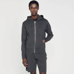 Sweats & Joggings|Pulls & Gilets*SANDRO Sweatshirt à Capuche gris chiné