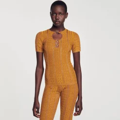 Ensembles|Pulls & Cardigans*SANDRO Top En Maille Scintillante Ambre